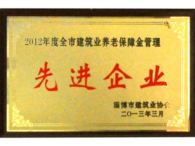 2012年全市养老保障金