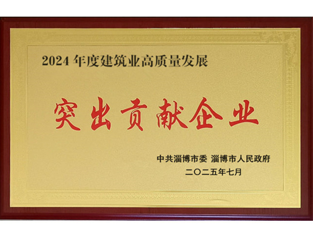 2024年度高质量发展突出贡献企业