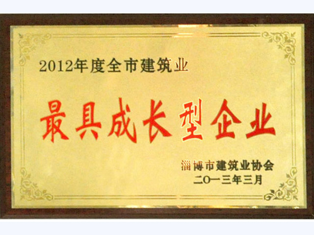 2012年全市最具成长型企业(图1)