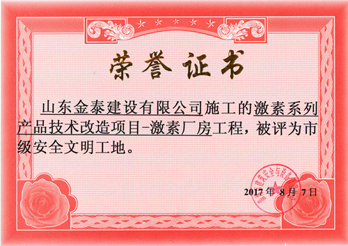 激素厂房工程获淄博市安全